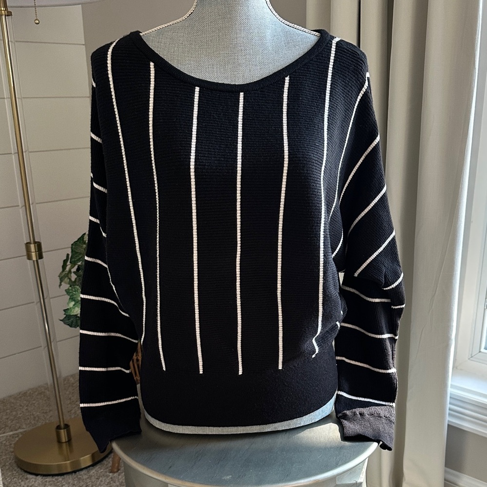 EXPRESS Striped Sweater